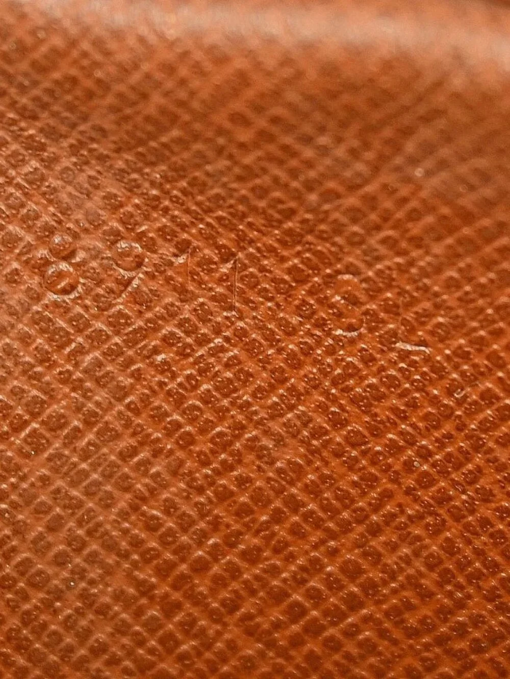 Louis Vuitton Monogram Mini Danube Shoulder Bag - Picture 15 of 16